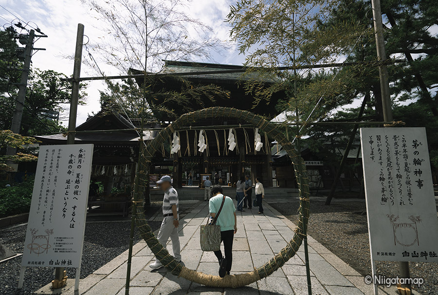 茅の輪神事の様子