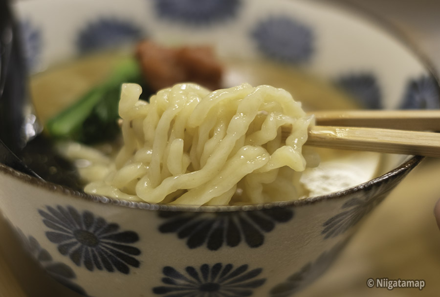 リニューアル後のラーメンそるとの麺