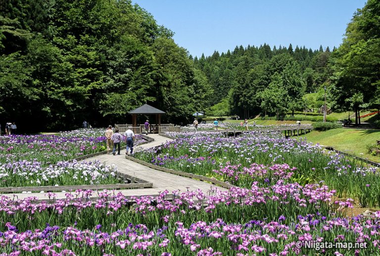 しらさぎ森林公園 新潟おでかけマップ