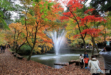 加茂山公園の噴水